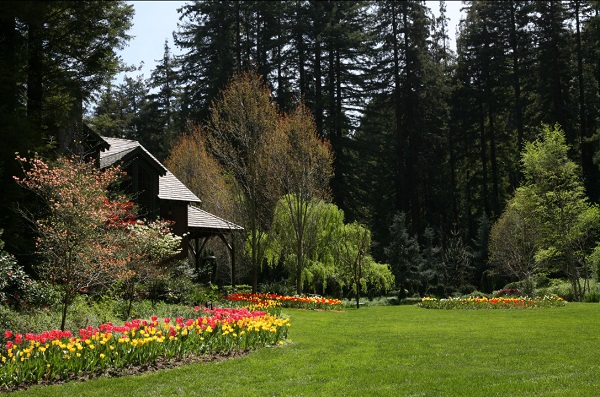 Nestldown Bay Area wedding venue