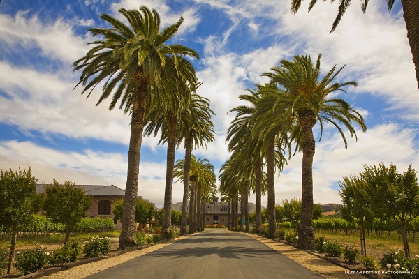 Palm Event Center best Bay Area wedding venue