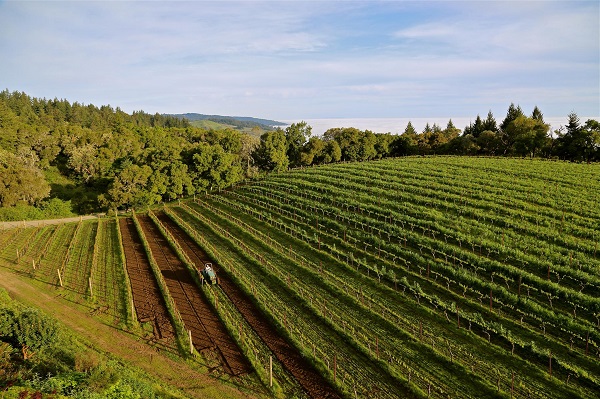 Thomas Fogarty Winery Bay Area wedding venue