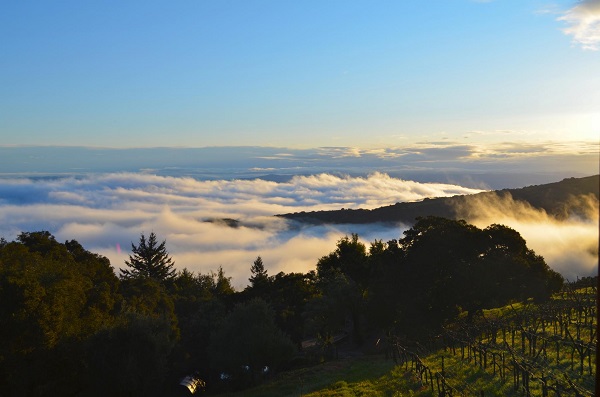Thomas Fogarty Winery best Bay Area wedding venue